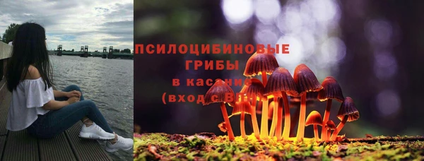 молекула духа Волосово