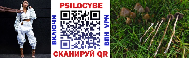 Псилоцибиновые грибы прущие грибы  купить закладку  Западная Двина 